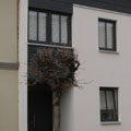 BV Schillerstraße 13, Bild 3